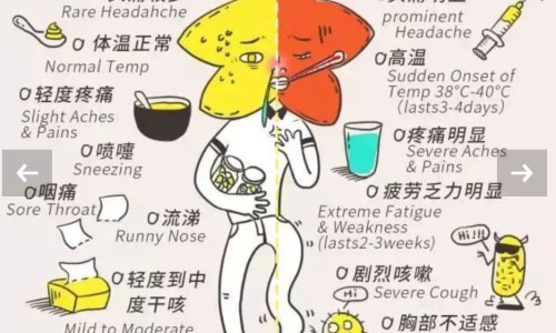 河北省省医保一级医院可用药品报销吗-河北省省医保一级医院可用药品网—知名的河北居民医保一级医院门诊报销比例网站,分享河北居民医保一级医院门诊报销比例知识