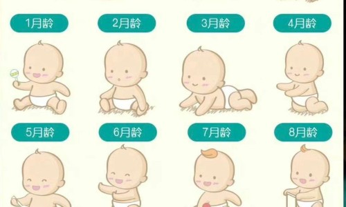 河北医保目录内药品-河北省省医保一级医院可用药品网—知名的河北居民医保一级医院门诊报销比例网站,分享河北居民医保一级医院门诊报销比例知识
